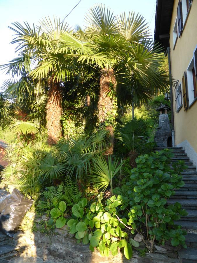 Apartamento Casa Petra 1 1/2 Zi, Orgnana 83 Gambarogno Exterior foto